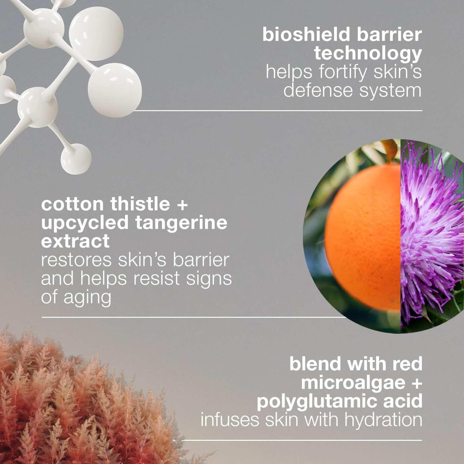 Dermalogica Dynamic Skin Strengthening Serum (Barrier-repair strengthening serum)