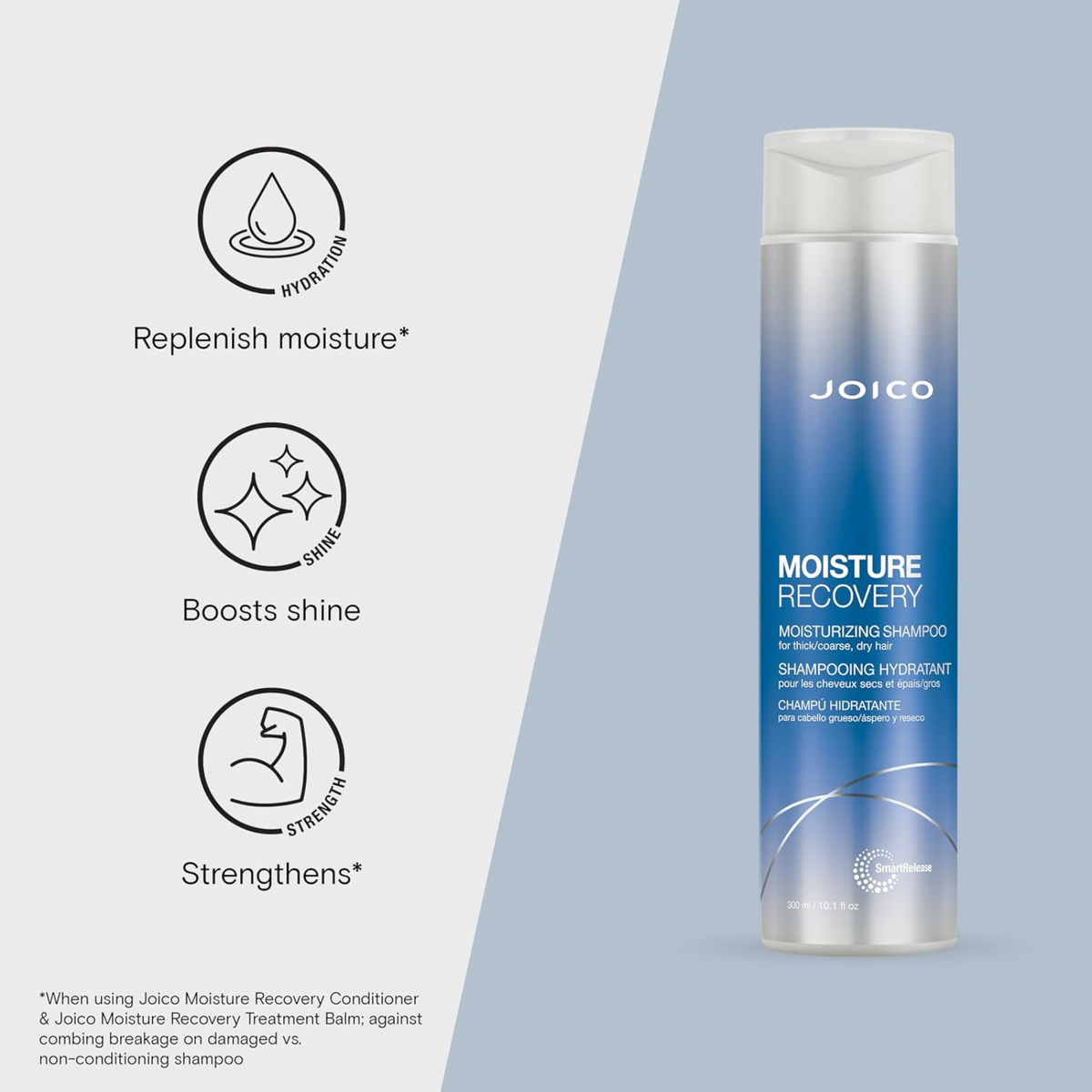 Joico Moisture Recovery Holiday Duo (3in1 moisturizing haircare and styling set)
