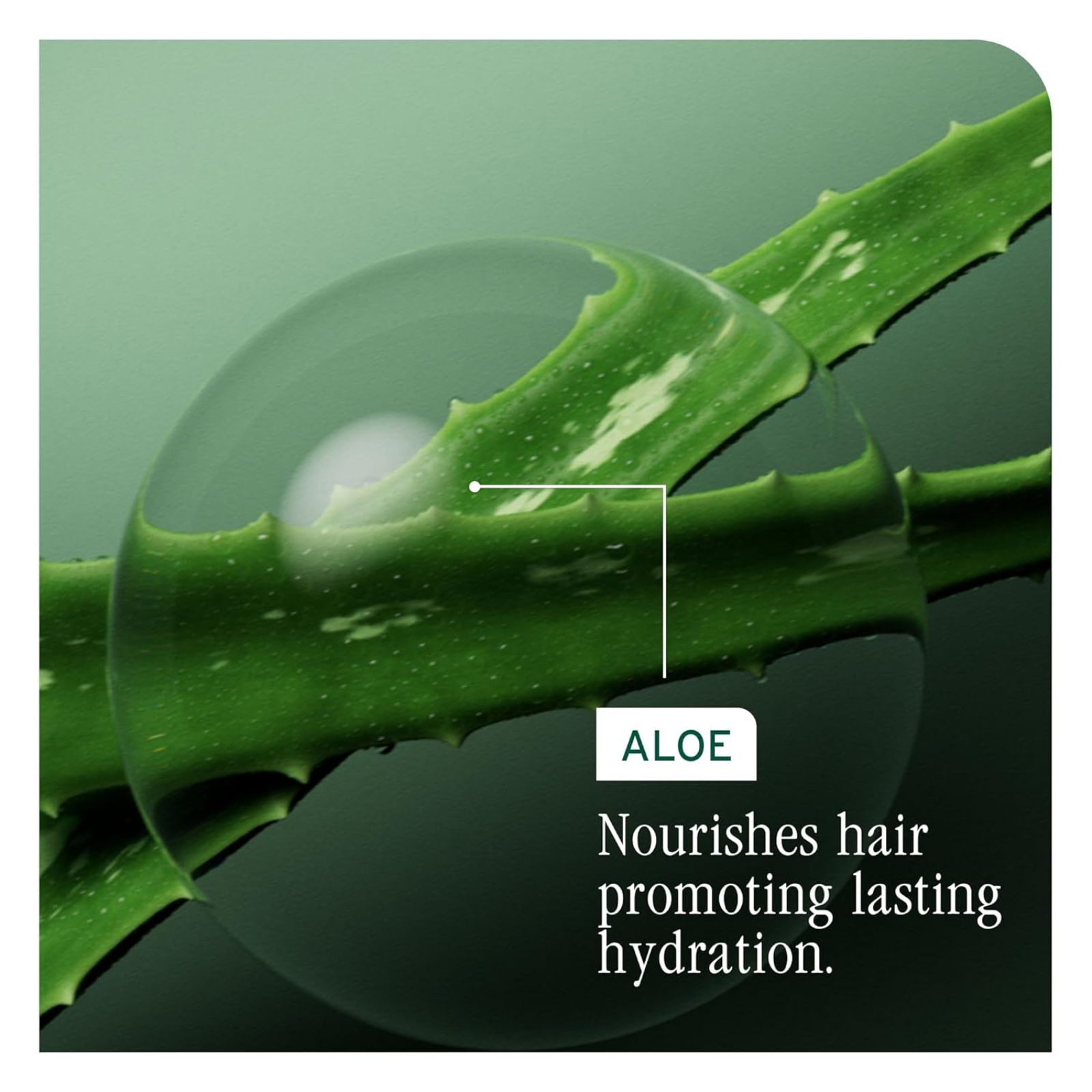 Biolage Hydration Reset Kit (3in1 hydrating reset hair care set)