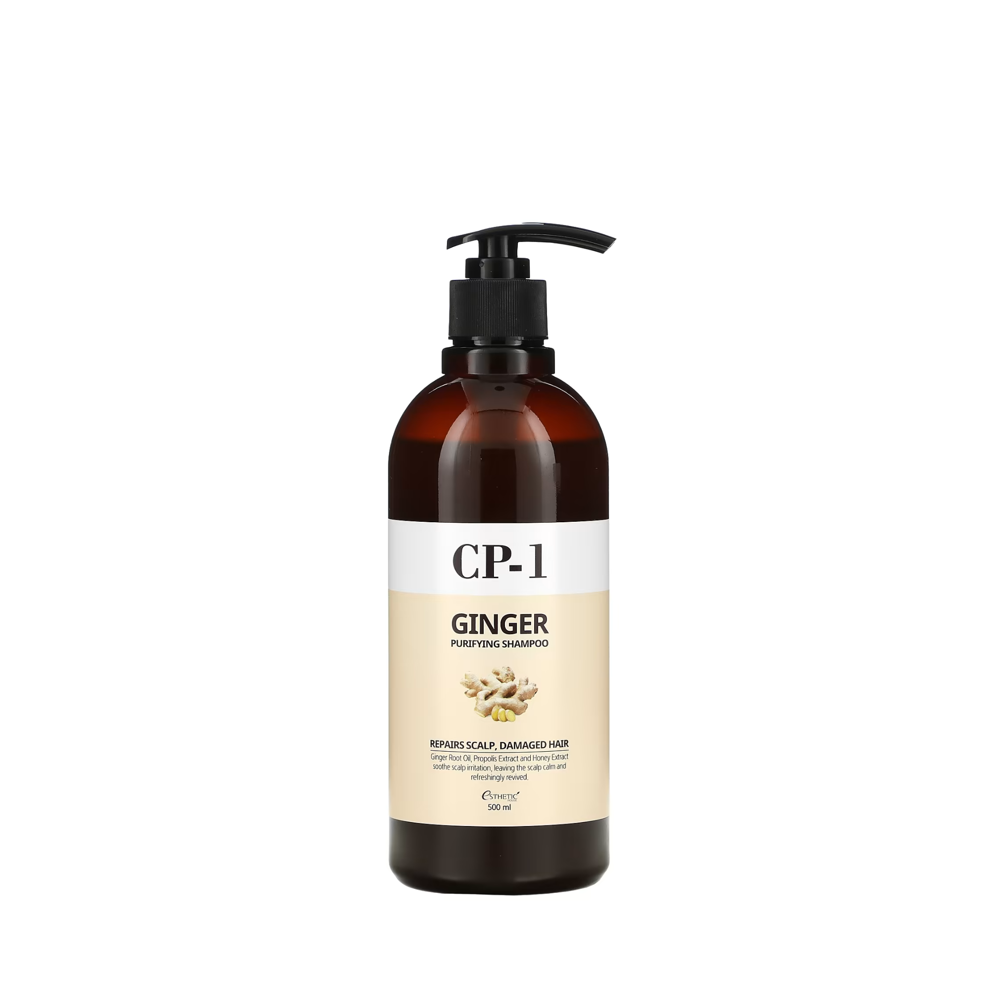 Nourishing shampoo by Esthetic House (Esthetic House CP-1 Ginger Purifying Shampoo)