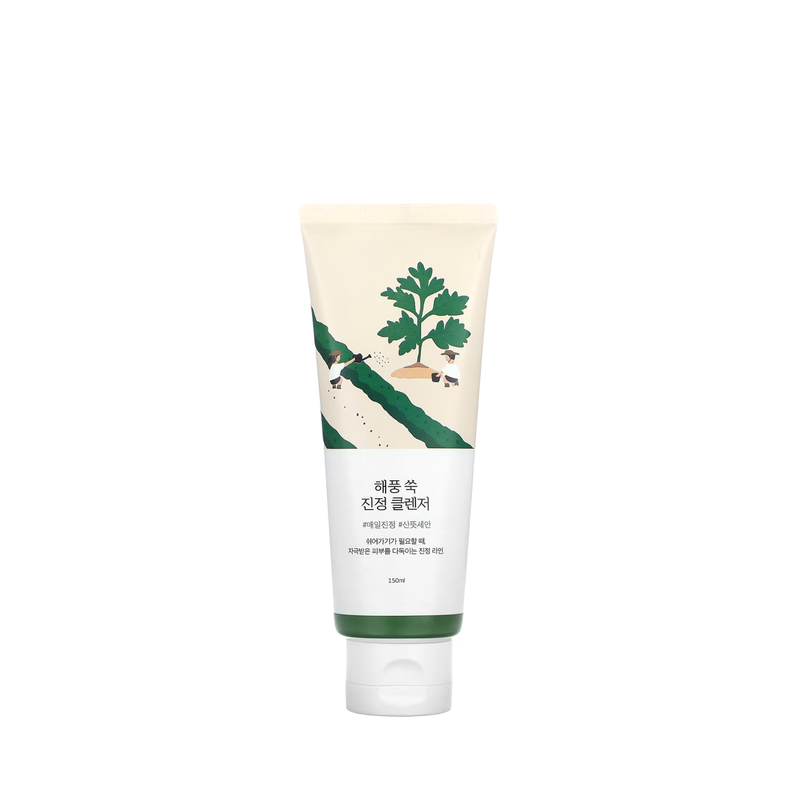 Soothing foam with mugwort by Round Lab (Round Lab Mugwort Calming Cleanser)