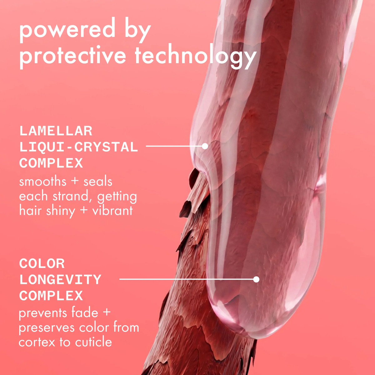 Amika The protector shampoo (Color-protecting strengthening shampoo)