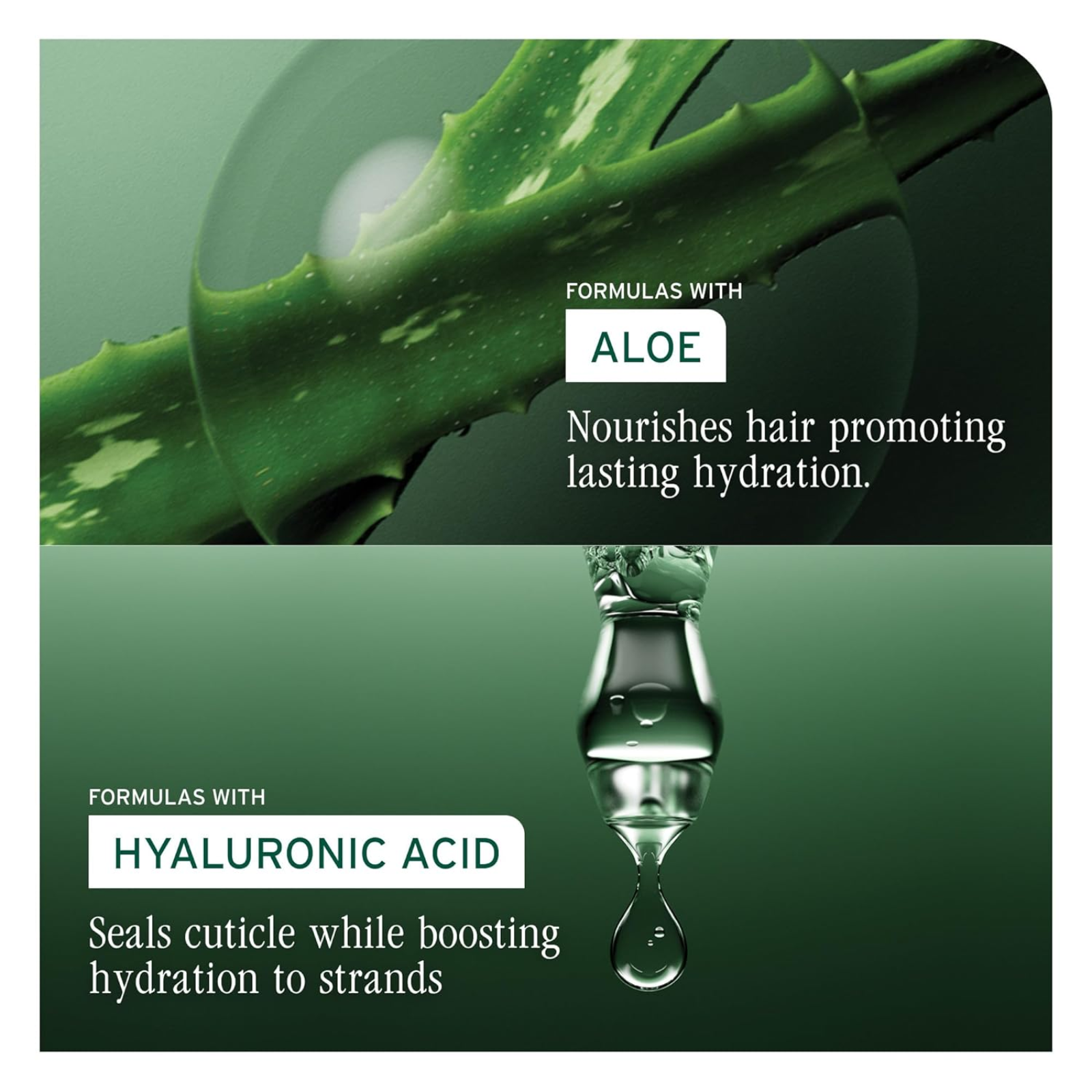 Biolage Hydra Source Moisture Method (Scalp & hair serum)