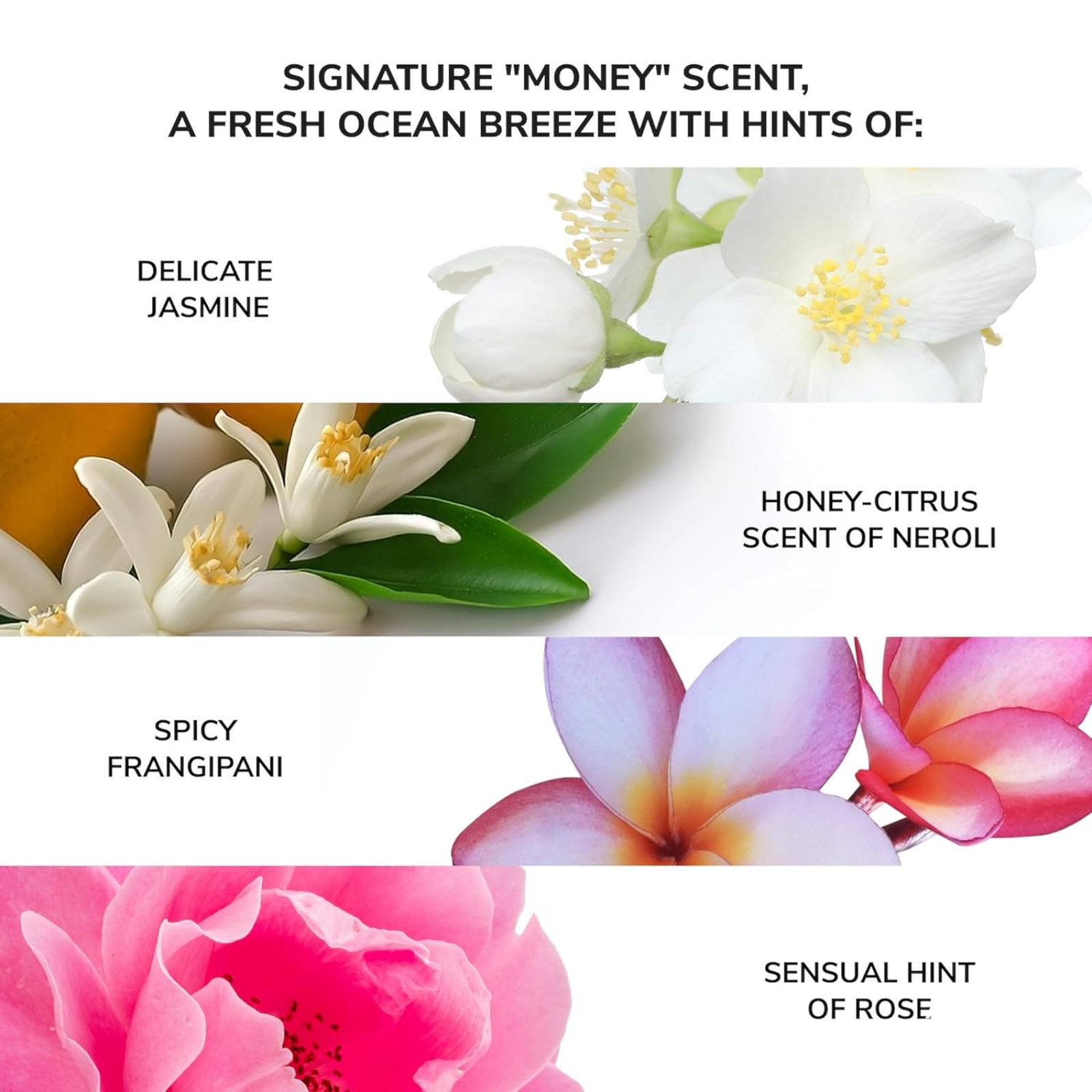 Color WOW Money Laundering Glossing Conditioner (Shine-enhancing hydrating conditioner)