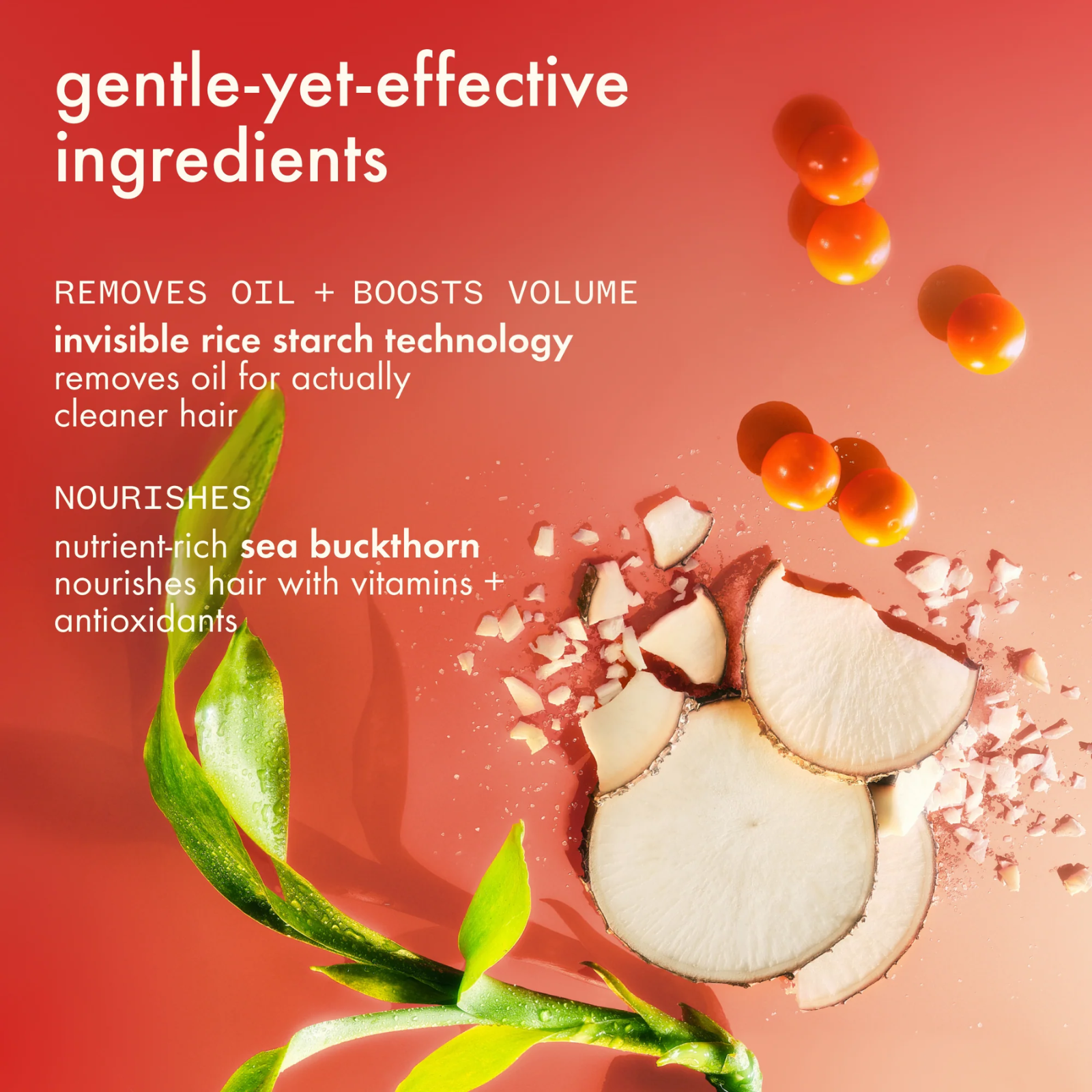 Amika: X Ellis Brooklyn Guava Granita perk up dry shampoo (Scented dry shampoo)