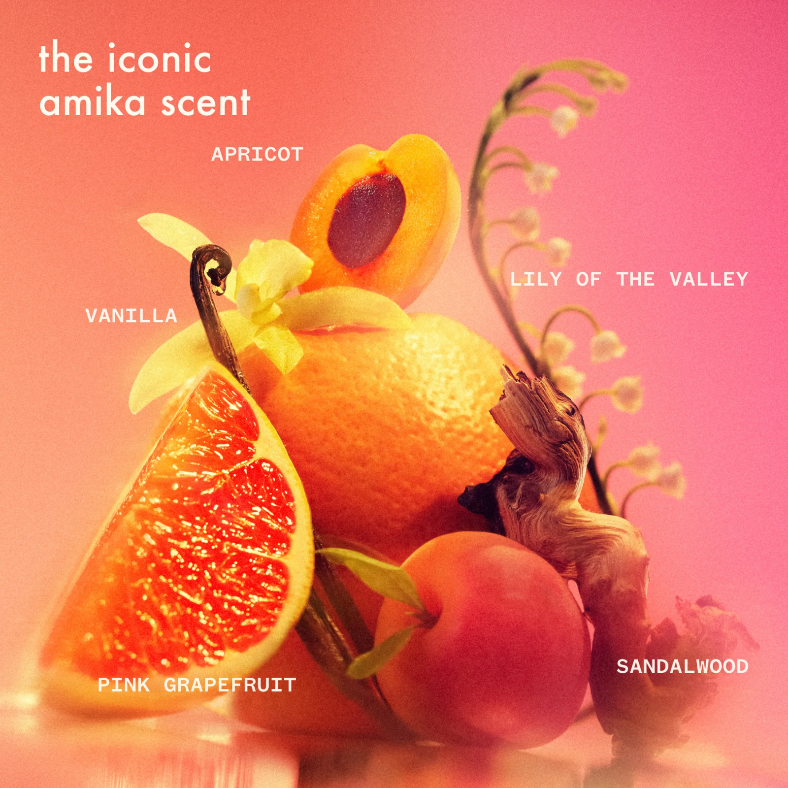 Amika Positively Perked Up Dry Shampoo Duo (Refreshing set)