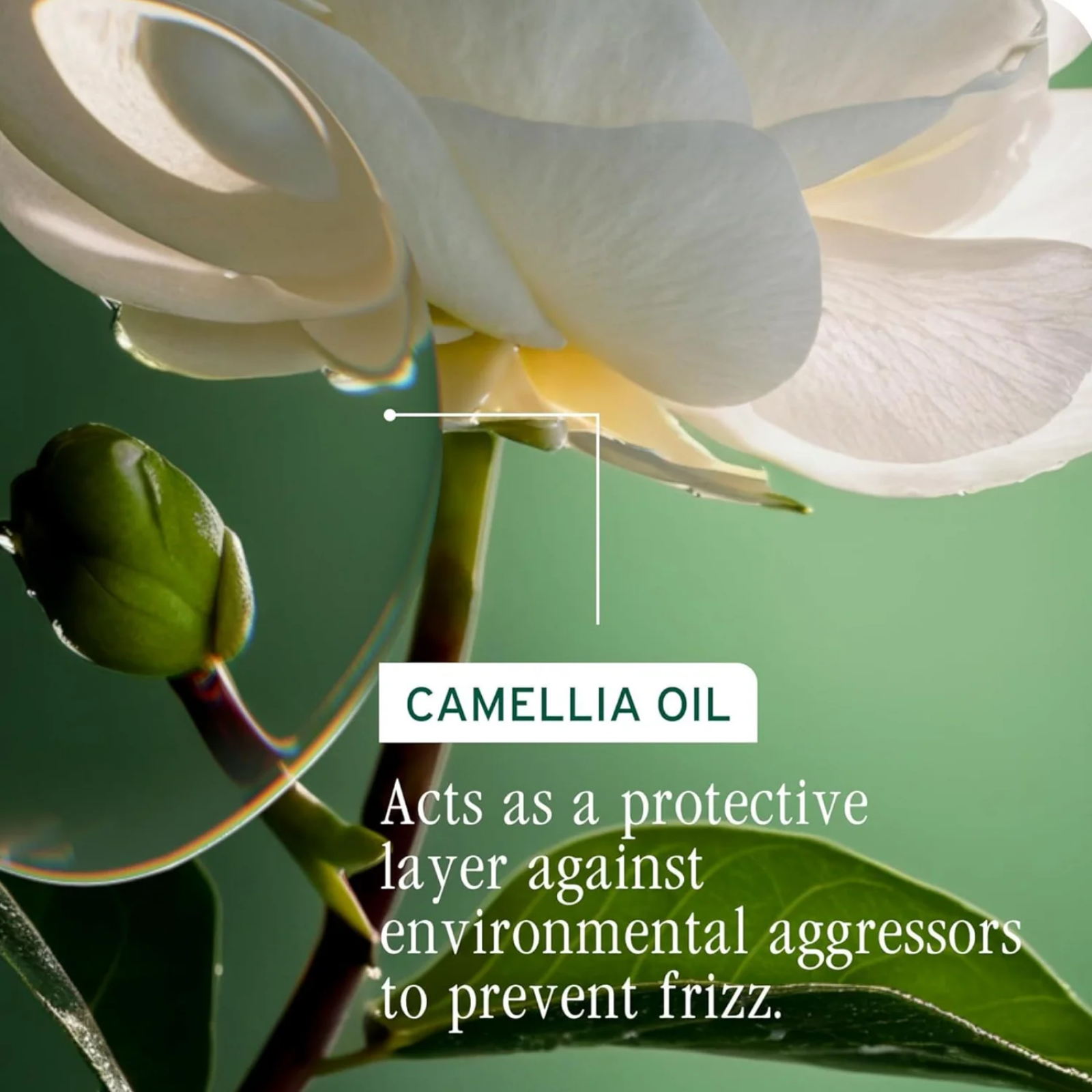 Biolage Smooth Proof Holiday Kit (Frizz control and silkiness)