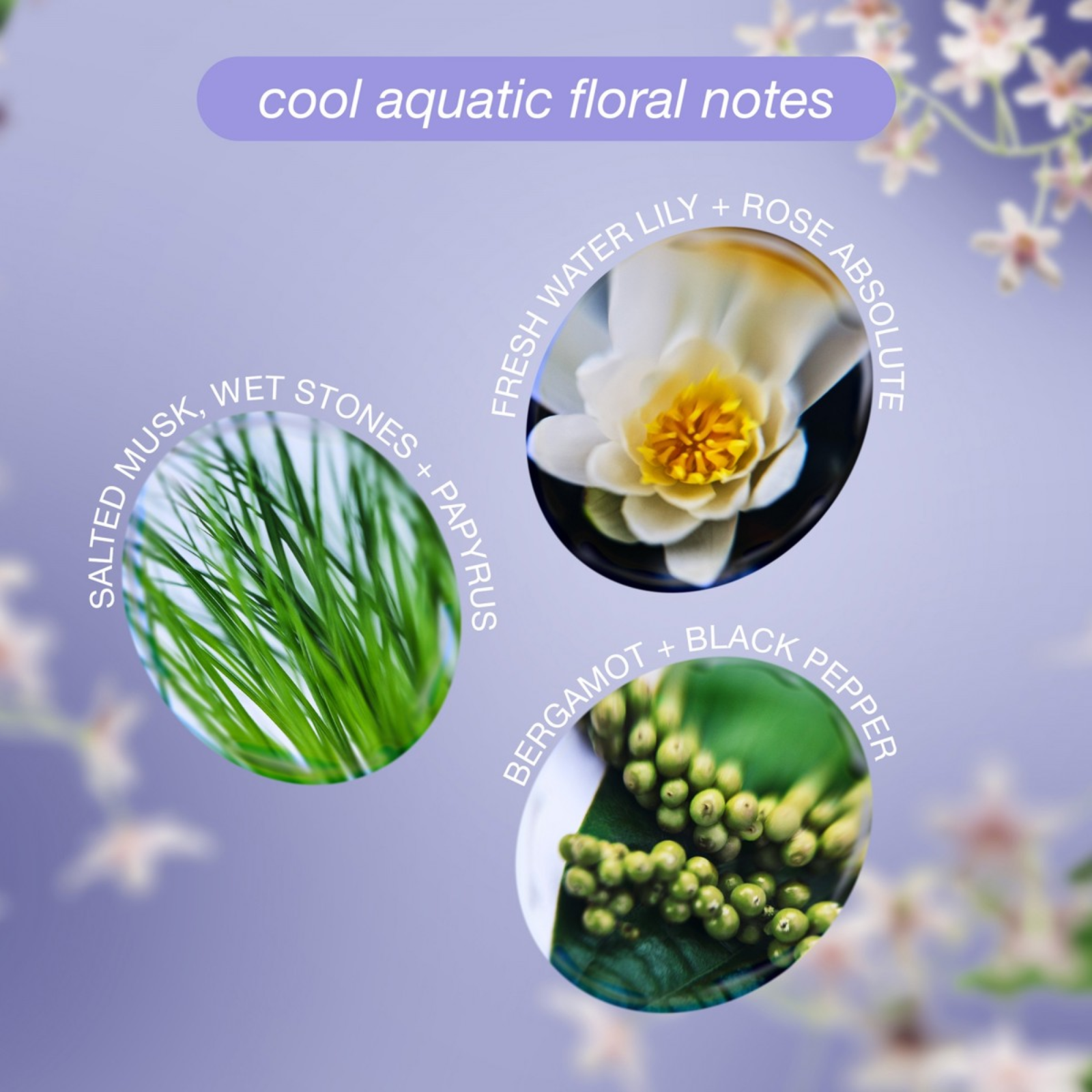 K18 Biomimetic HairScience Future Society Leave-In molecular repair hair mask (Limited edition repair hair mask)