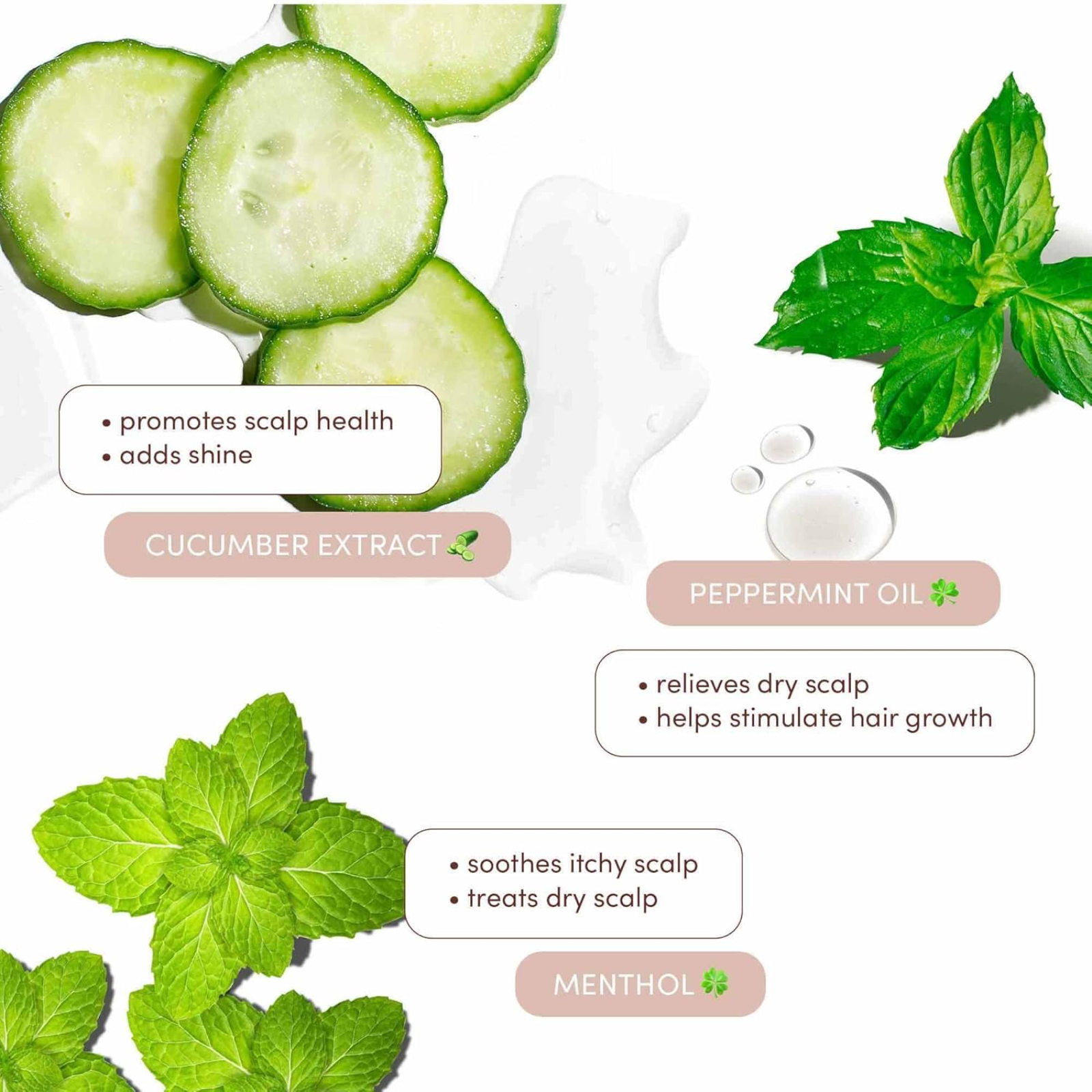 Mizani Scalp Care Anti-Dandruff Shampoo (Reviving shampoo)