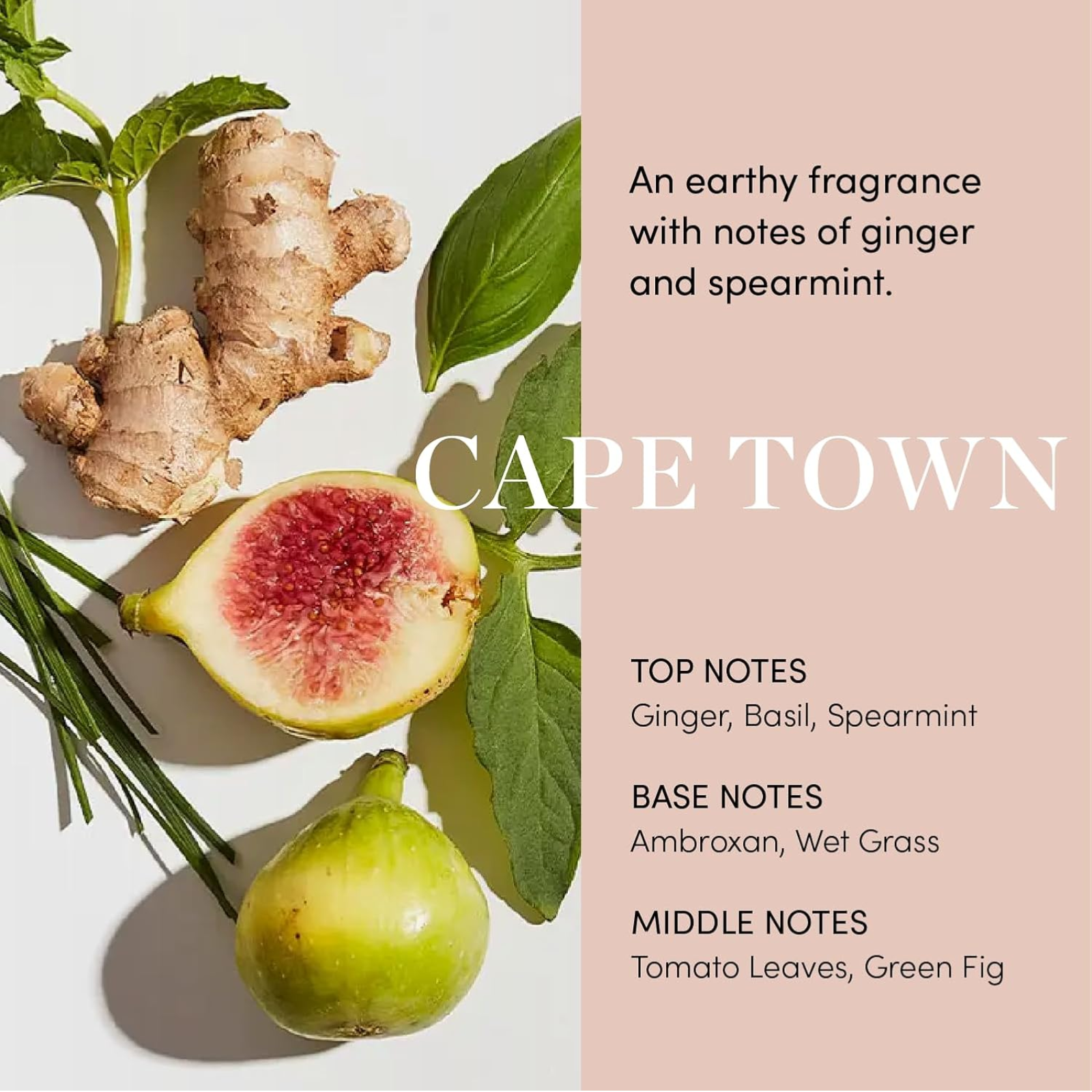 OUAI Scalp Serum (Balancing hair serum)