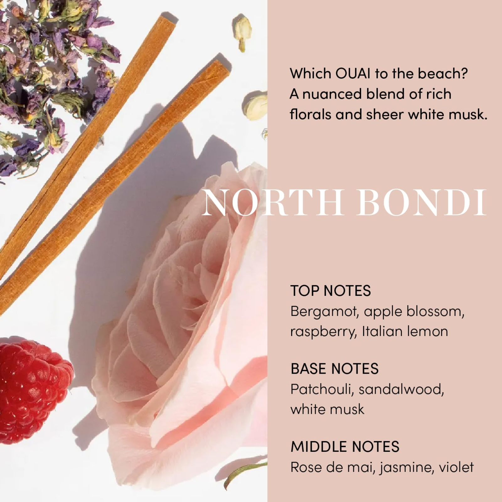 OUAI Air Dry Foam (Time-saving hair foam)