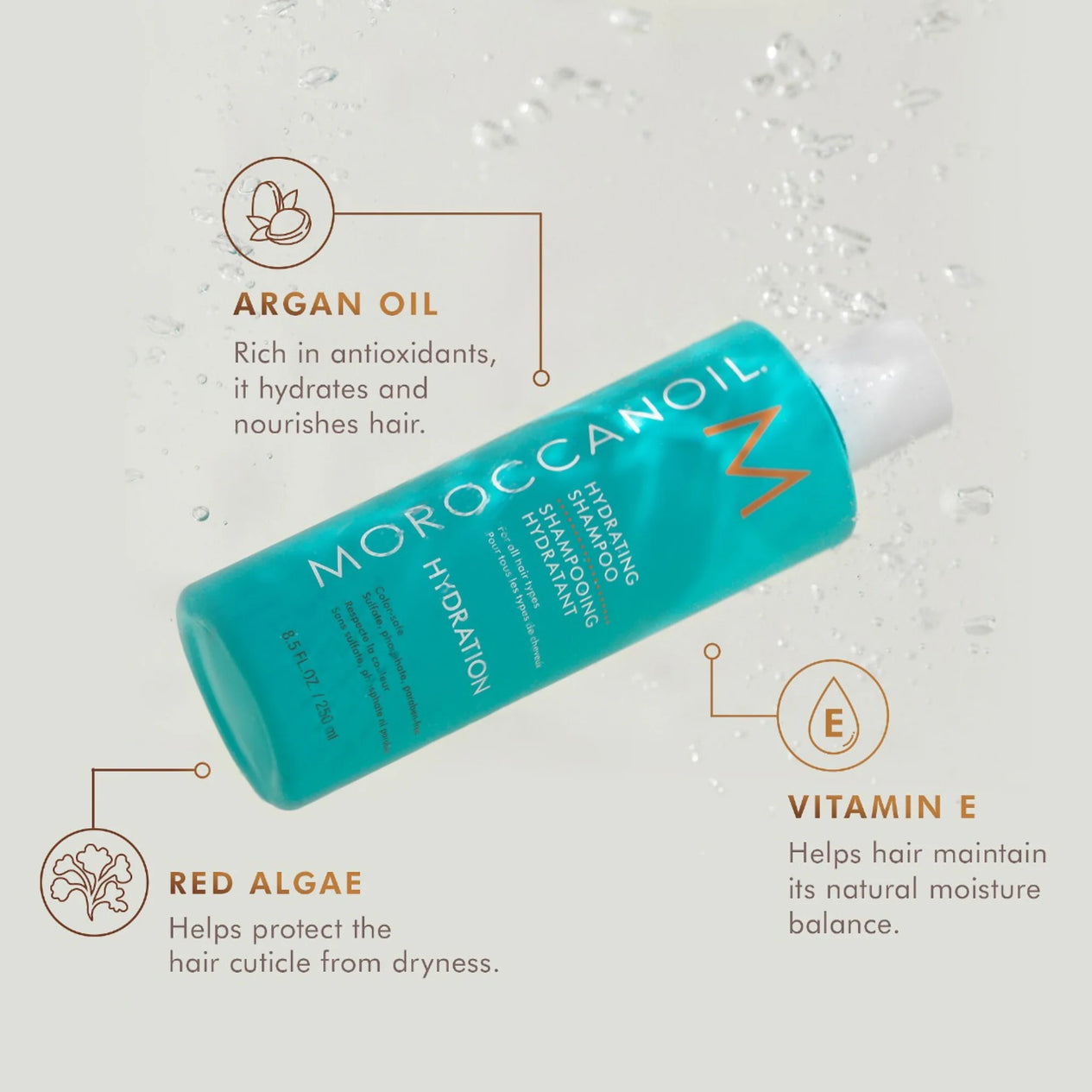 MoroccanOil Hydrating Shampoo (Sulfate-free shampoo)